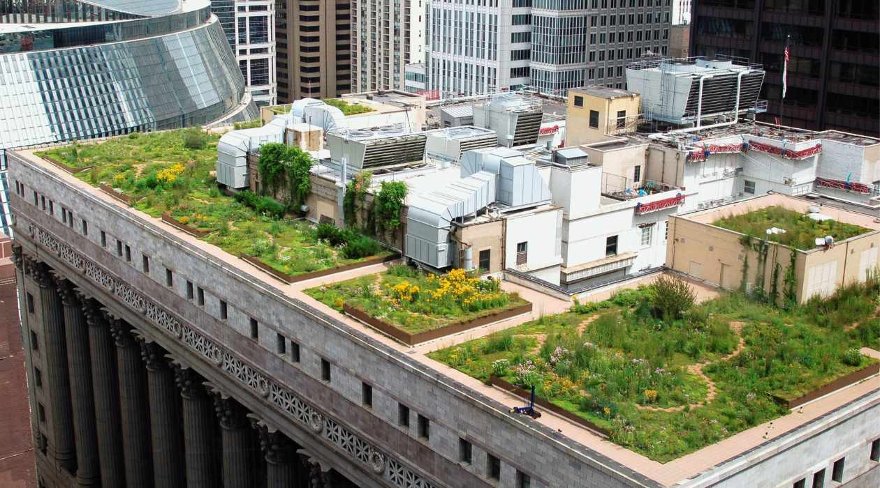 Why Is City Hall’s Rooftop Garden Closed In Chicago?