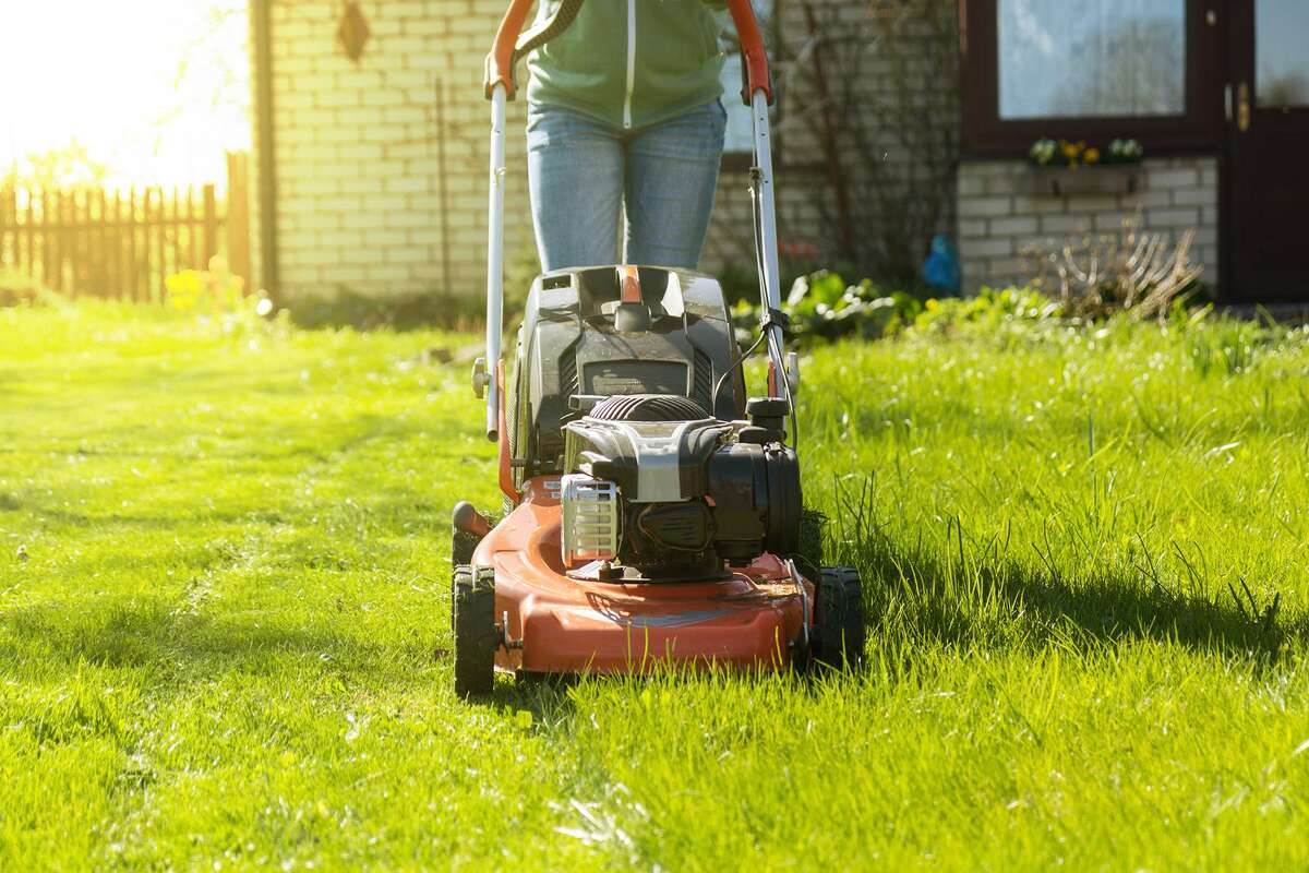 Why Is Lawn Care Important