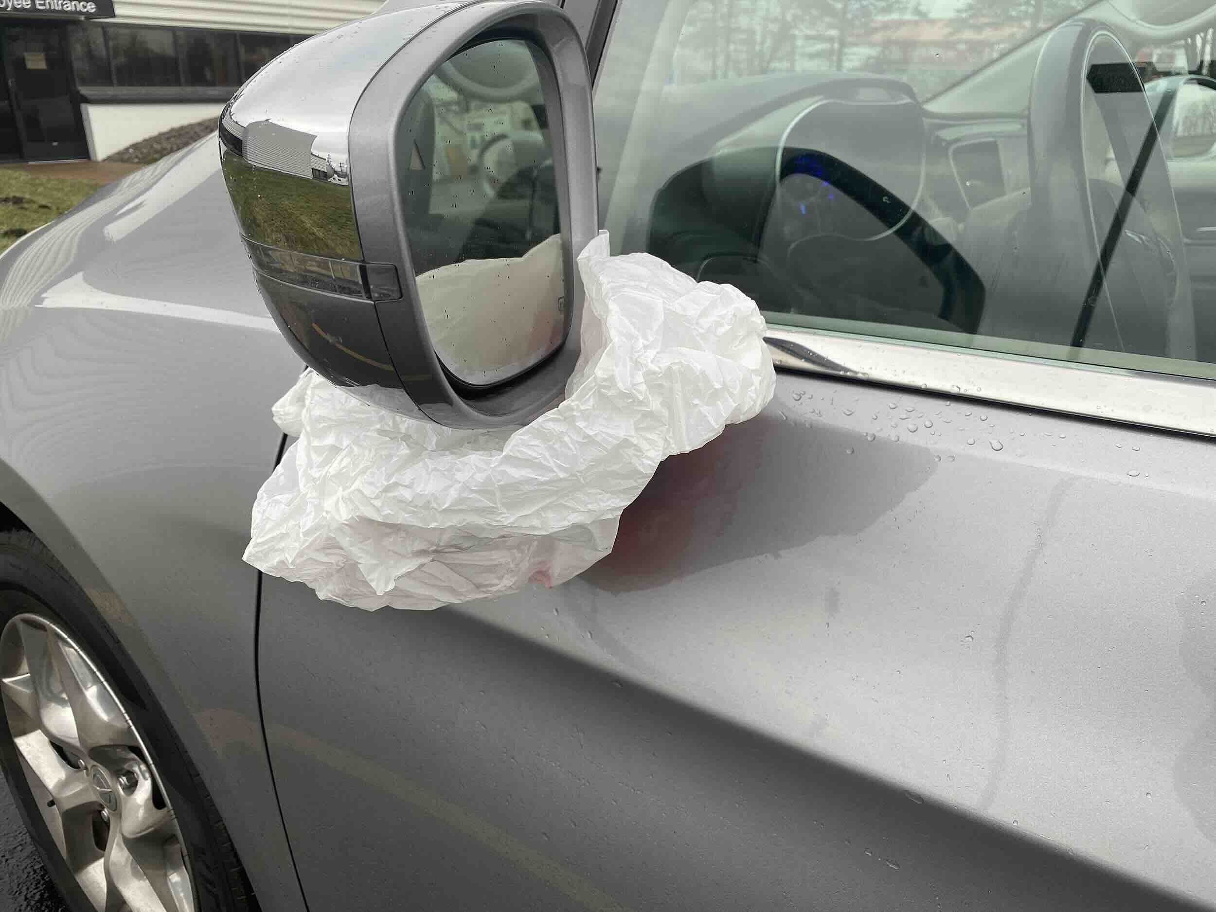 Why Put Plastic Bags On Side Mirrors