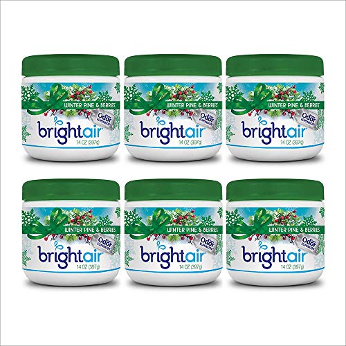Winter Pine and Berries Air Freshener, 6 Pack
