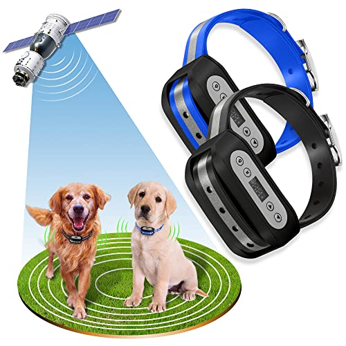 Wireless Dog Fence System with GPS Technology
