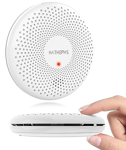 Wireless Interconnected Smoke and Carbon Monoxide Detector Alarm