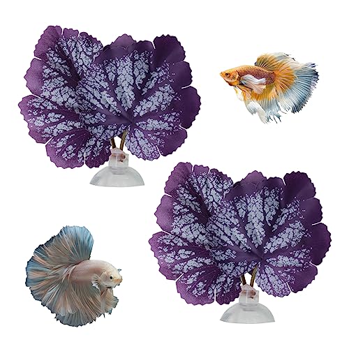 WishLotus Betta Leaf