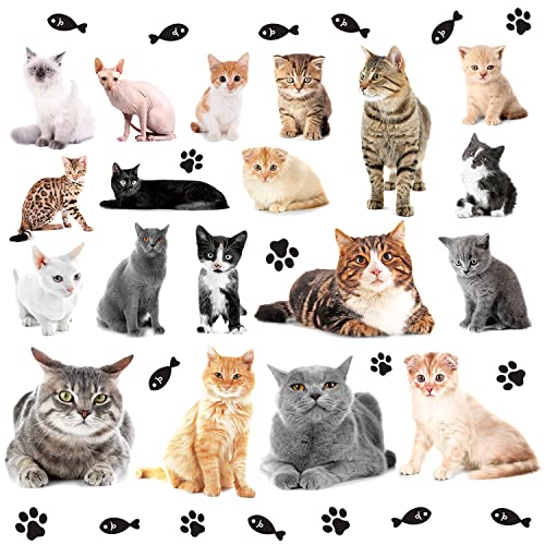 WOYINIS 3D Lovely Kitty Wall Decals