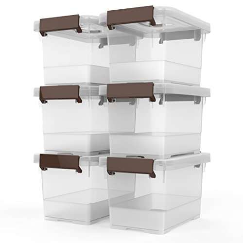 WYT Clear Storage Latch Box, 6 Pack