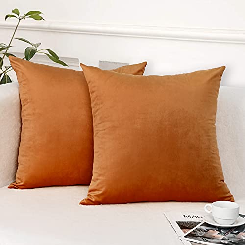 Yastouay 2 Pack Velvet Orange Throw Pillow Covers, 18x18