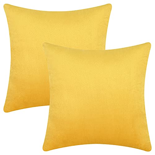 Yastouay Velvet Throw Pillow Covers