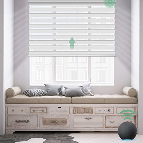 Yoolax Motorized Zebra Blinds