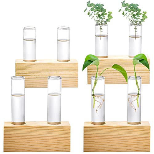 YOUEON Glass Plant Terrarium with Wooden Stand