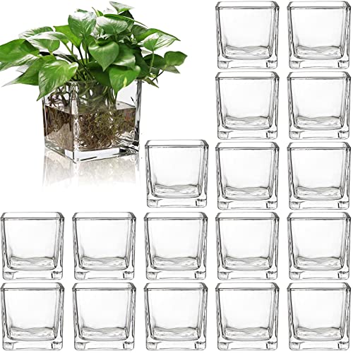 ZEAYEA Set of 18 Small Square Glass Vase