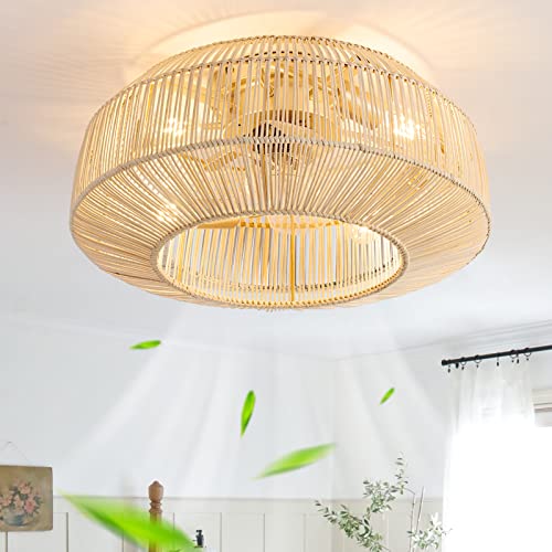 zheshirui 20" Boho Caged Ceiling Fan with Lights
