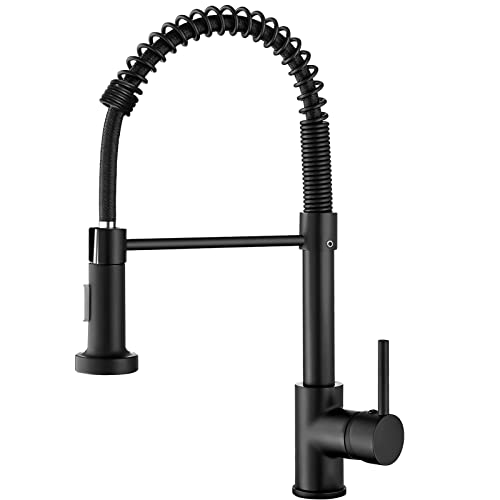 ZSW Kitchen Faucets with Pull Down Sprayer