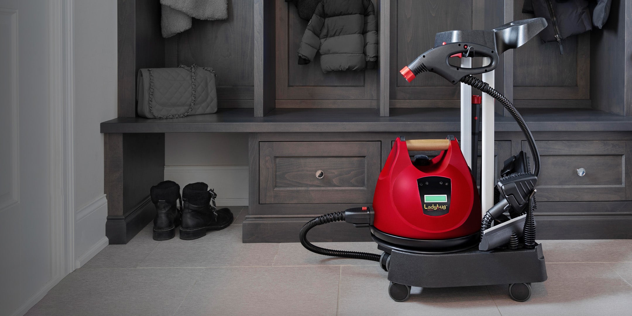 10 Amazing Ladybug Steam Cleaner For 2023