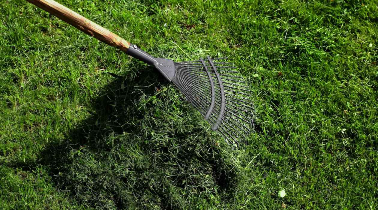 10 Amazing Thatching Rakes For Lawns For 2024