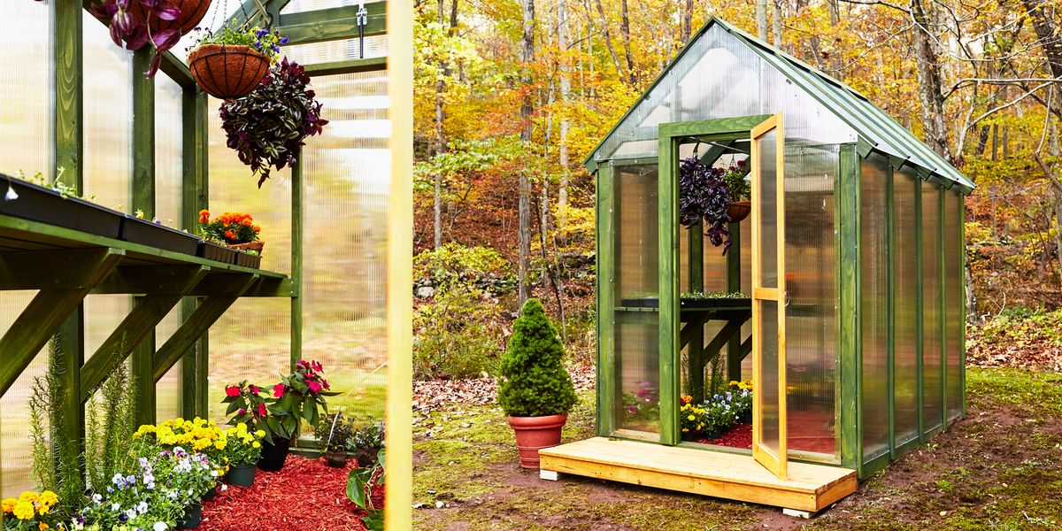 10 Best Patio Greenhouse For 2024