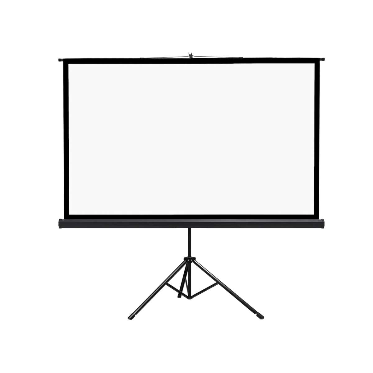10 Best Projector Screens For 2024