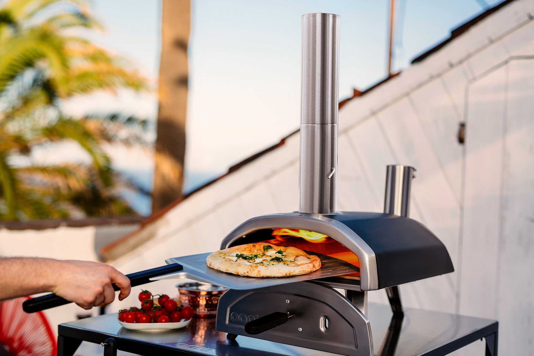 11 Amazing Pellet Pizza Oven For 2024