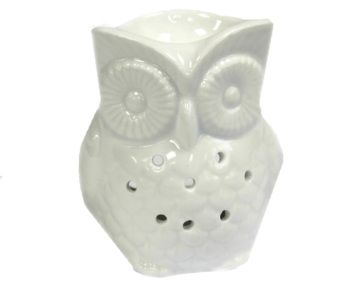 12 Amazing Owl Oil Diffuser For 2024