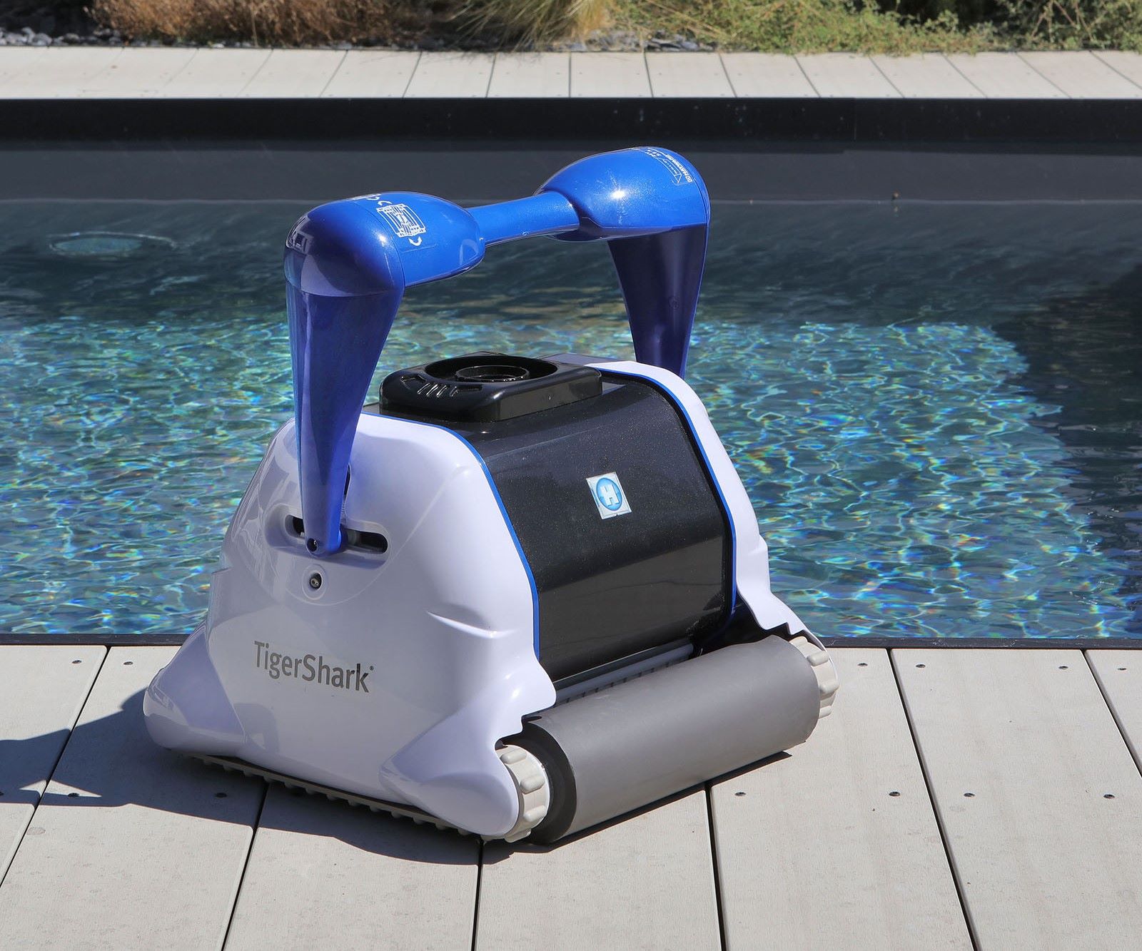 12 Amazing Tigershark Pool Cleaner For 2024