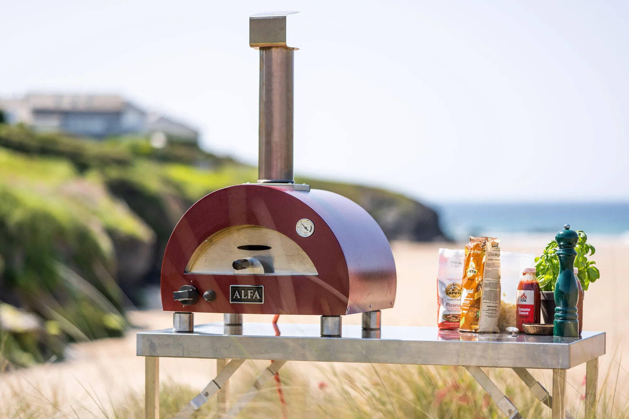 12 Best Alfa Pizza Oven For 2024