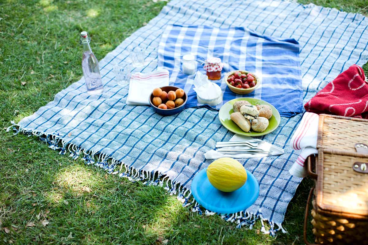 13 Amazing Picnic Towel For 2024