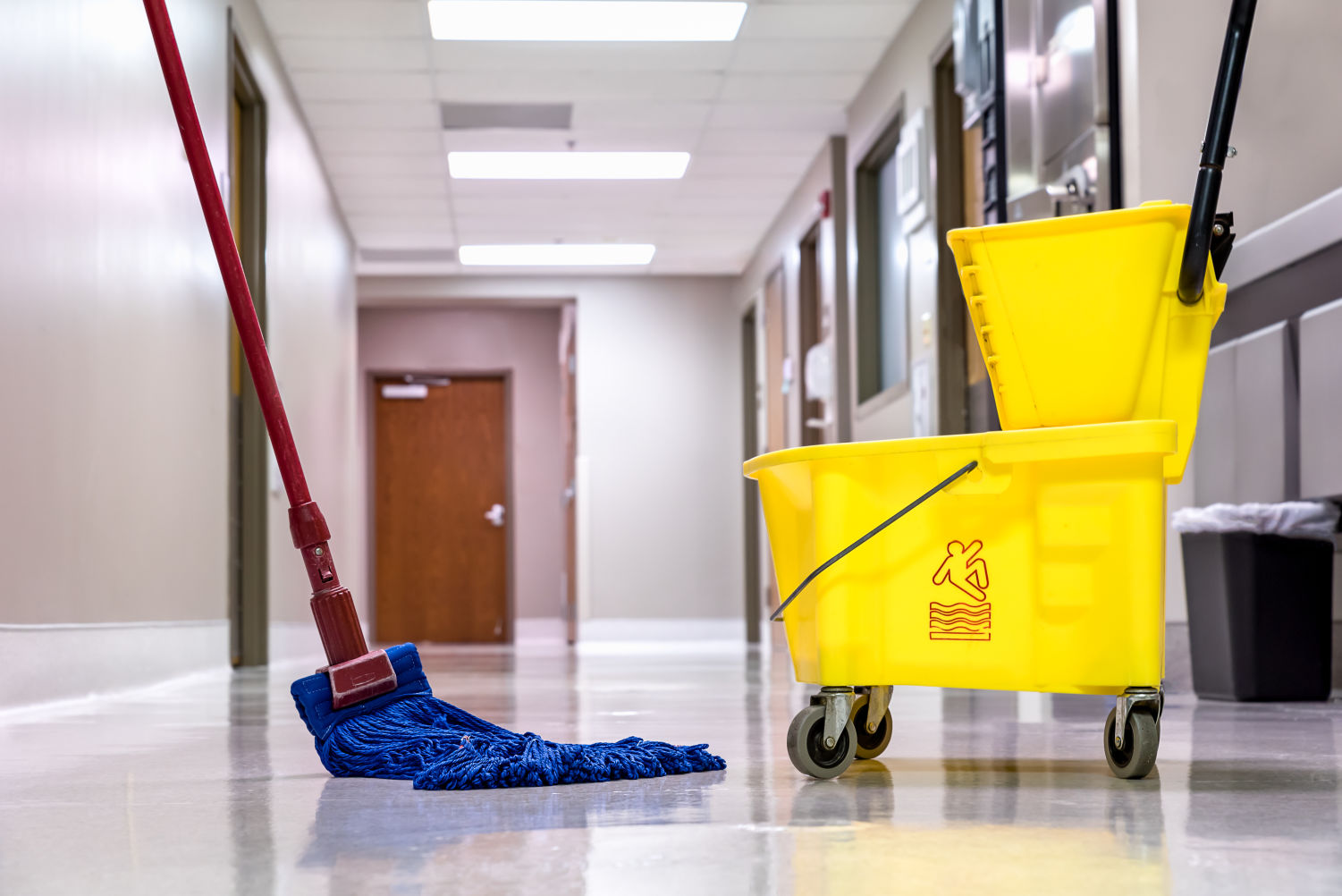 13 Best Cleaning Mop For 2024