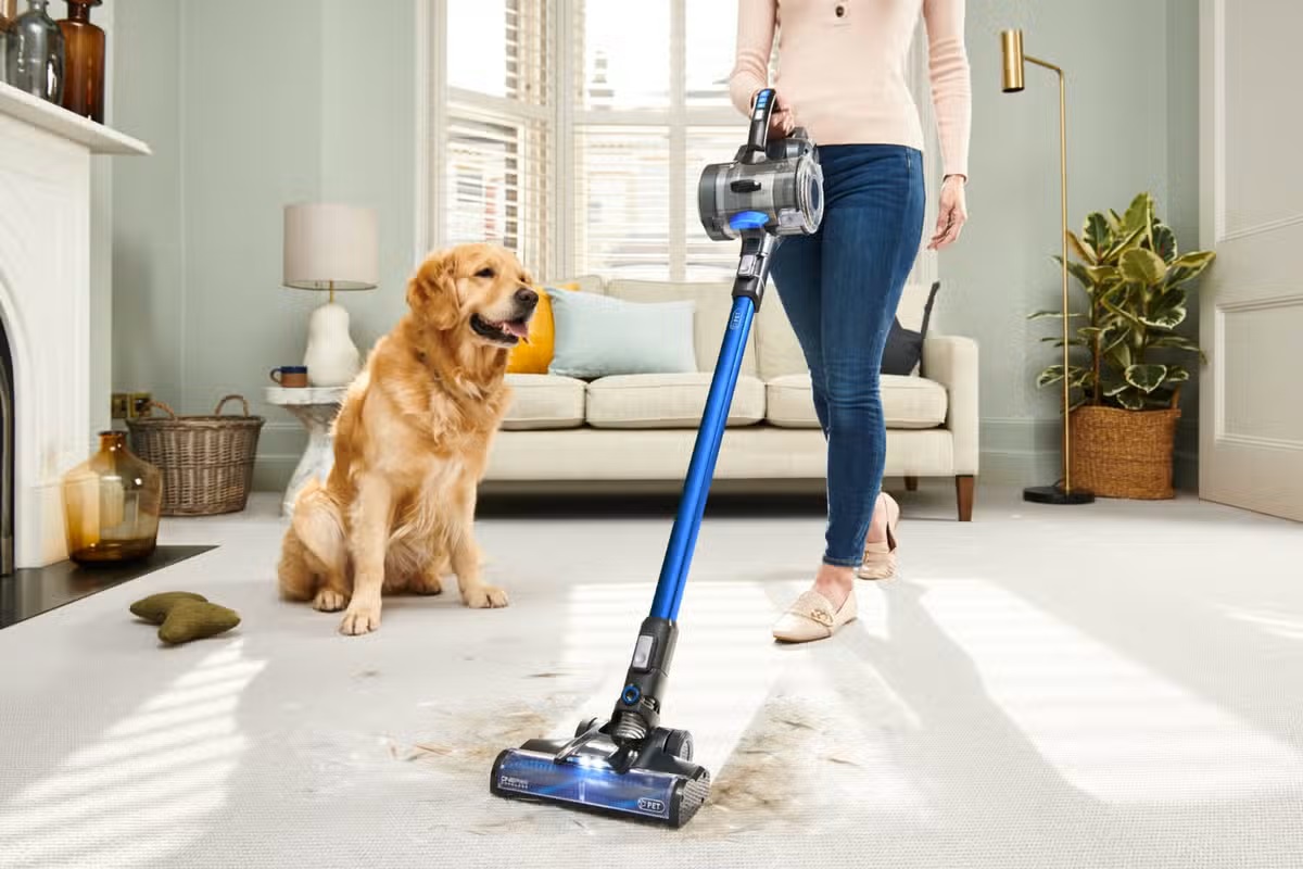 The 5 Best Bagged Vacuums - Winter 2024: Reviews 