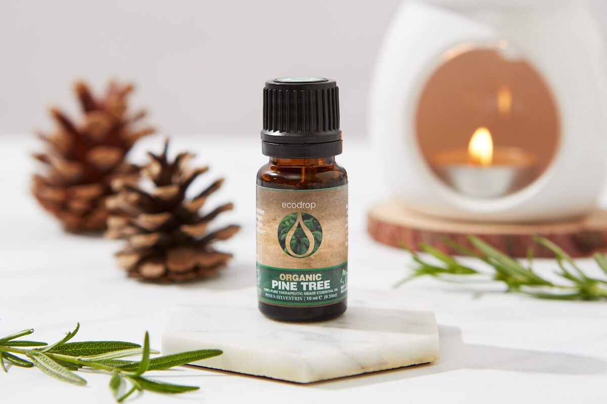 13 Best Pine Oil Diffuser For 2024