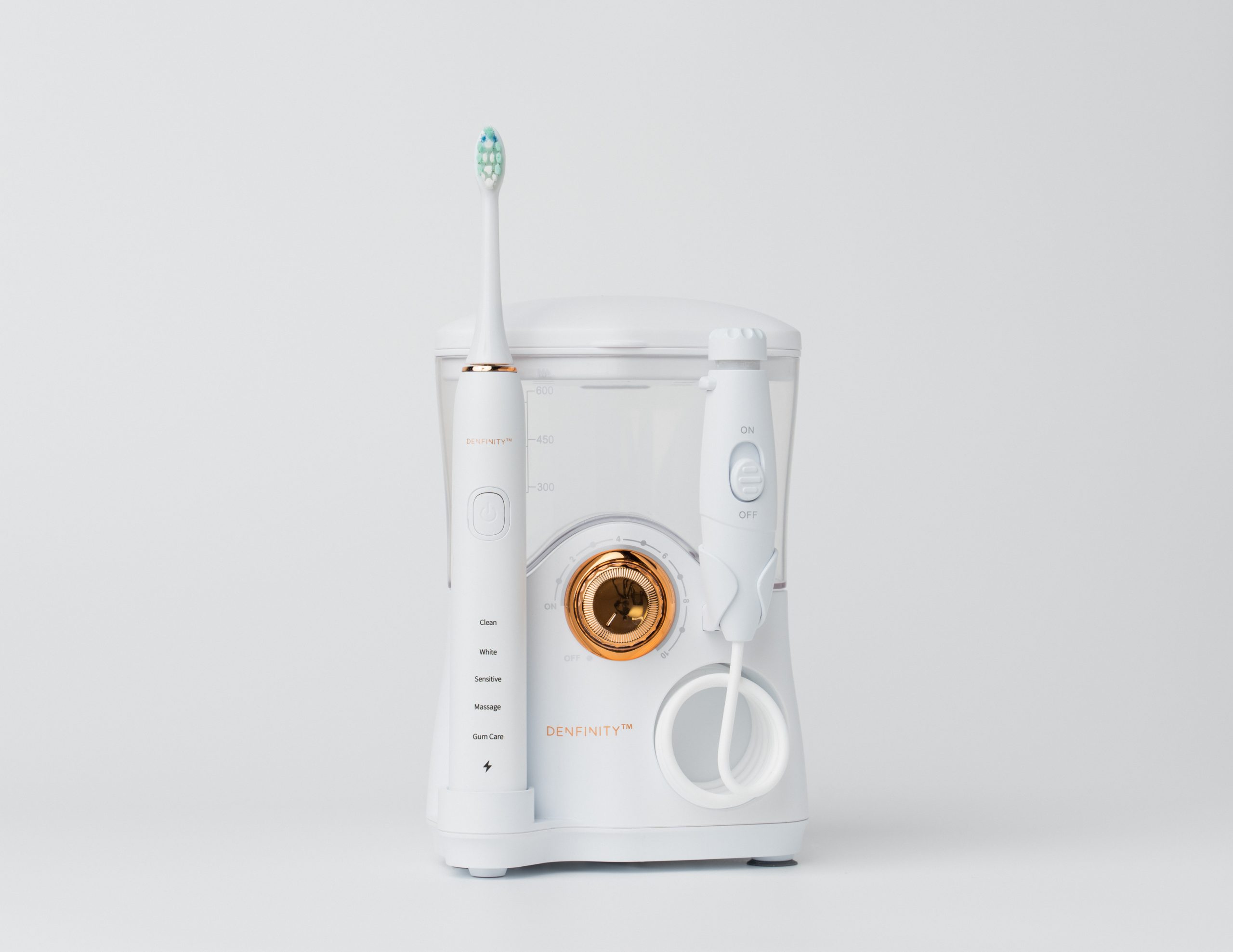 14 Amazing Electric Toothbrush And Water Flosser For 2024