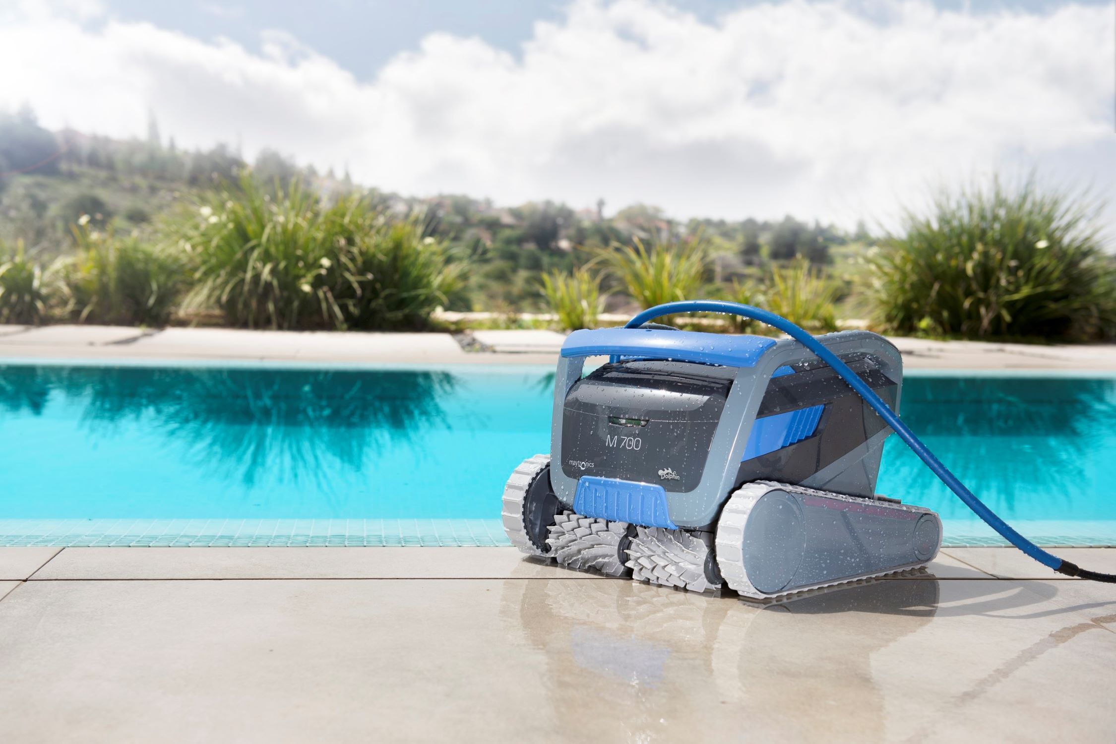 14 Best Dolphin Robotic Pool Cleaner For 2024