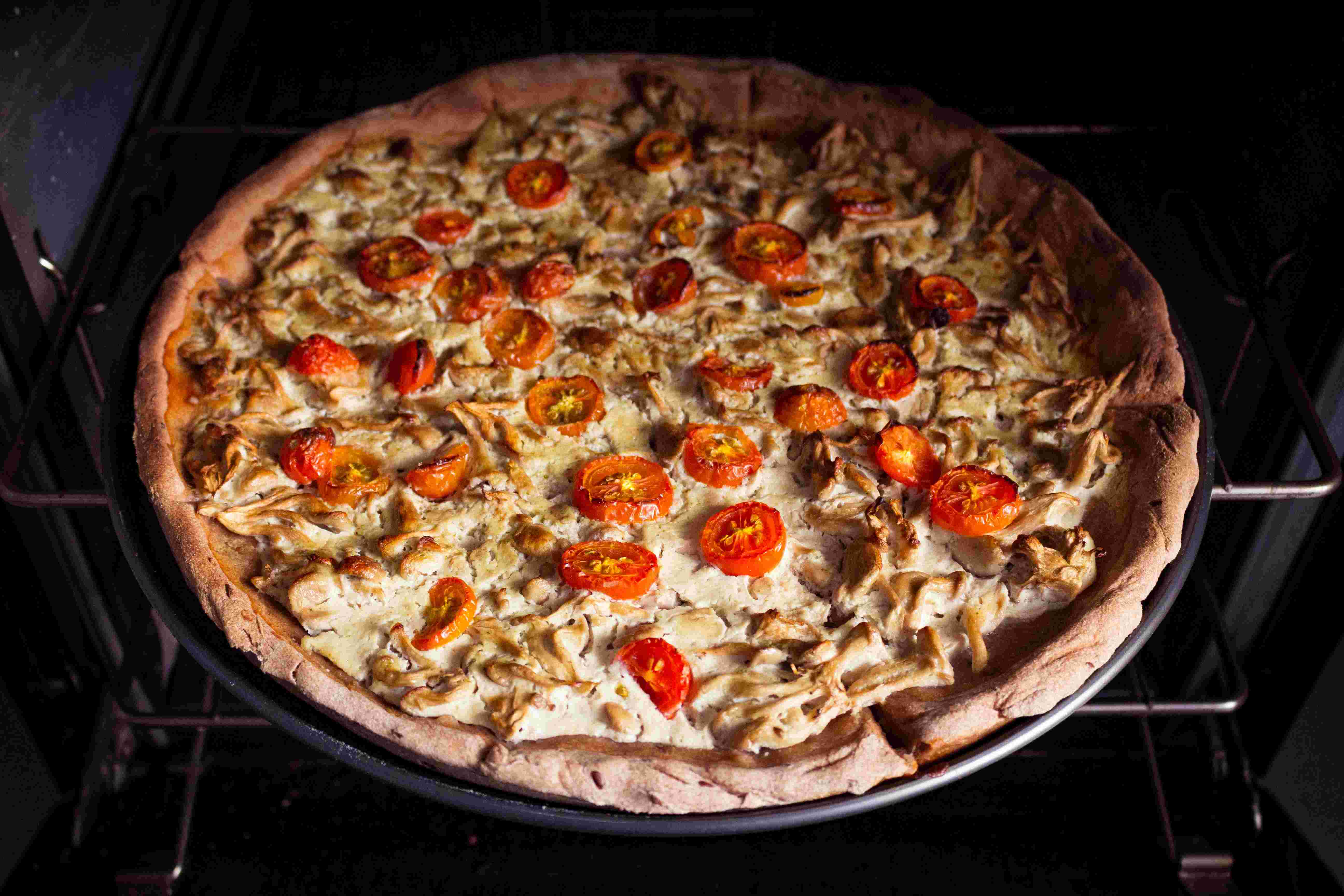 14 Best Frozen Pizza Oven For 2024
