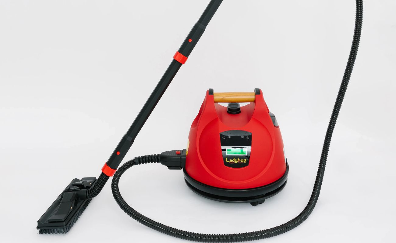 15 Amazing Steam Cleaner Ladybug For 2024