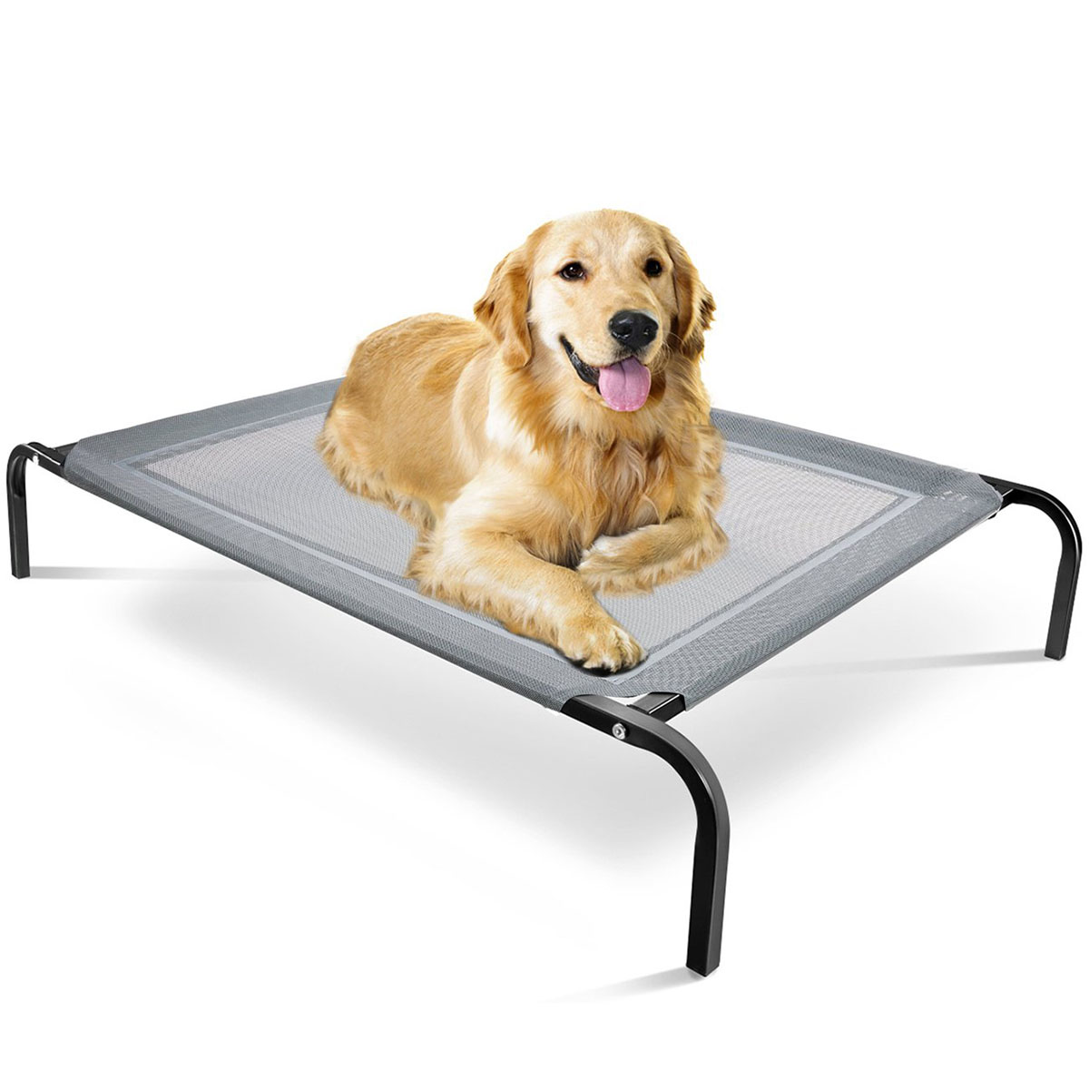 15 Best Dog Trampoline Bed For 2024