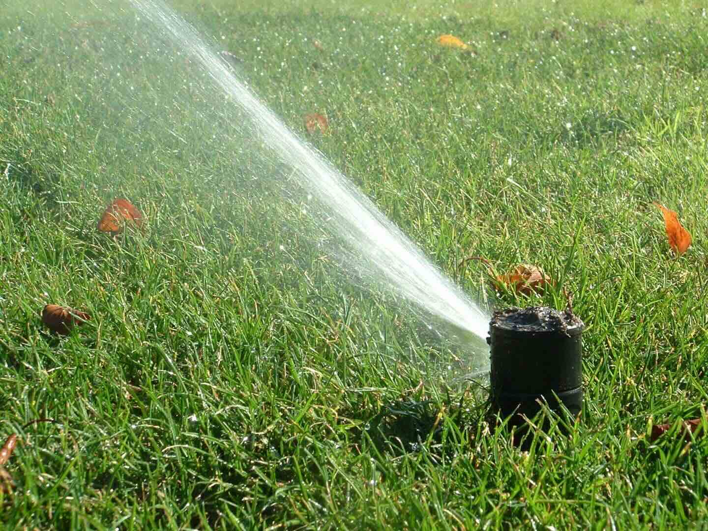 8 Best Pop Up Sprinklers For Lawns For 2024