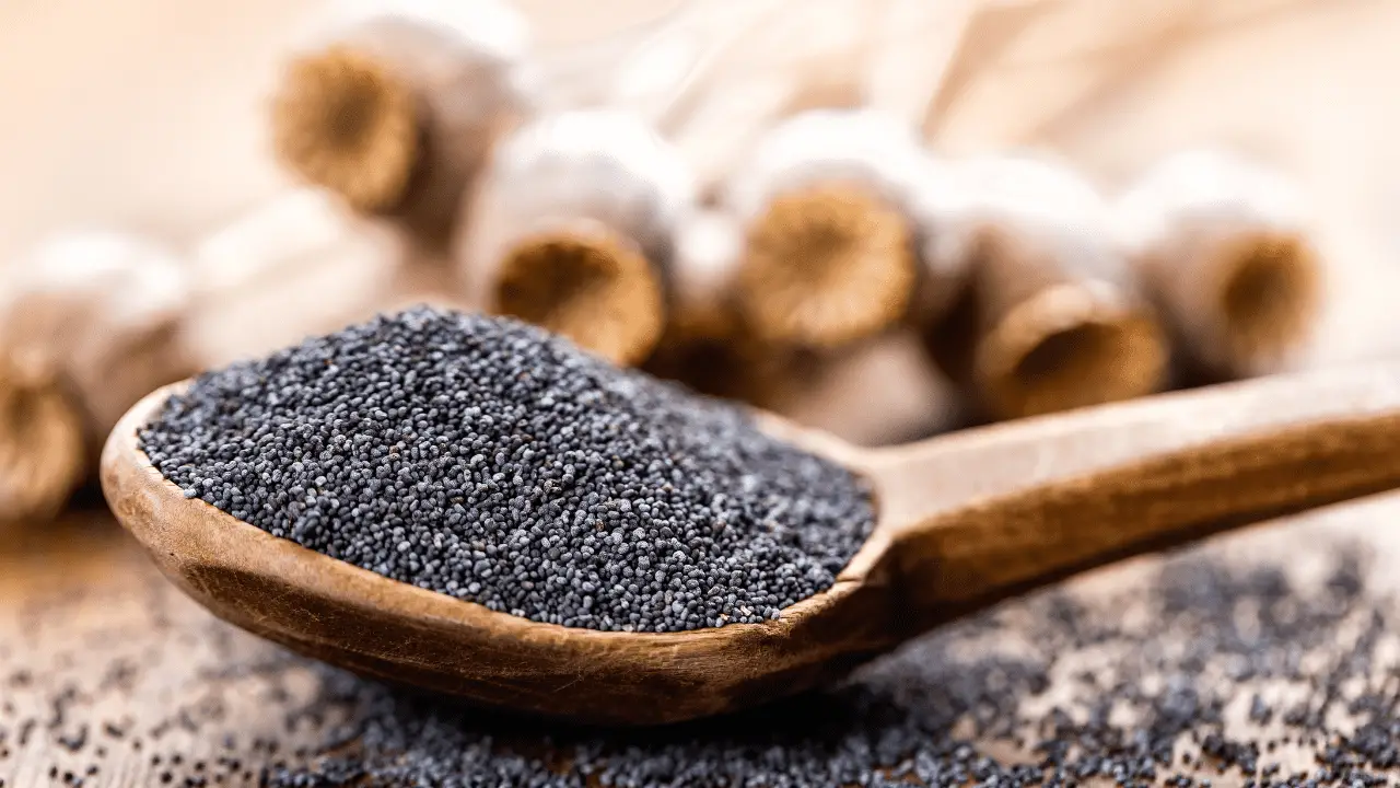Can You Eat Poppy Seeds When Pregnant