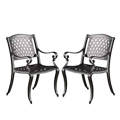 Christopher Knight Home Hallandale Outdoor Chairs, 2-Pc Set, Antique Black