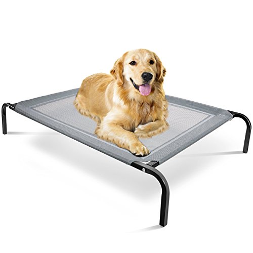 Steel Frame Elevated Dog Bed