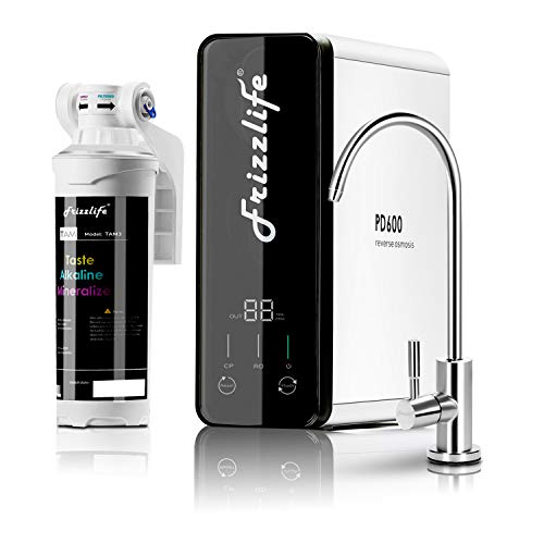 Frizzlife RO Filtration System