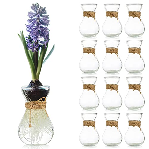 Hewory Mini Hyacinth Avocado Vase Set