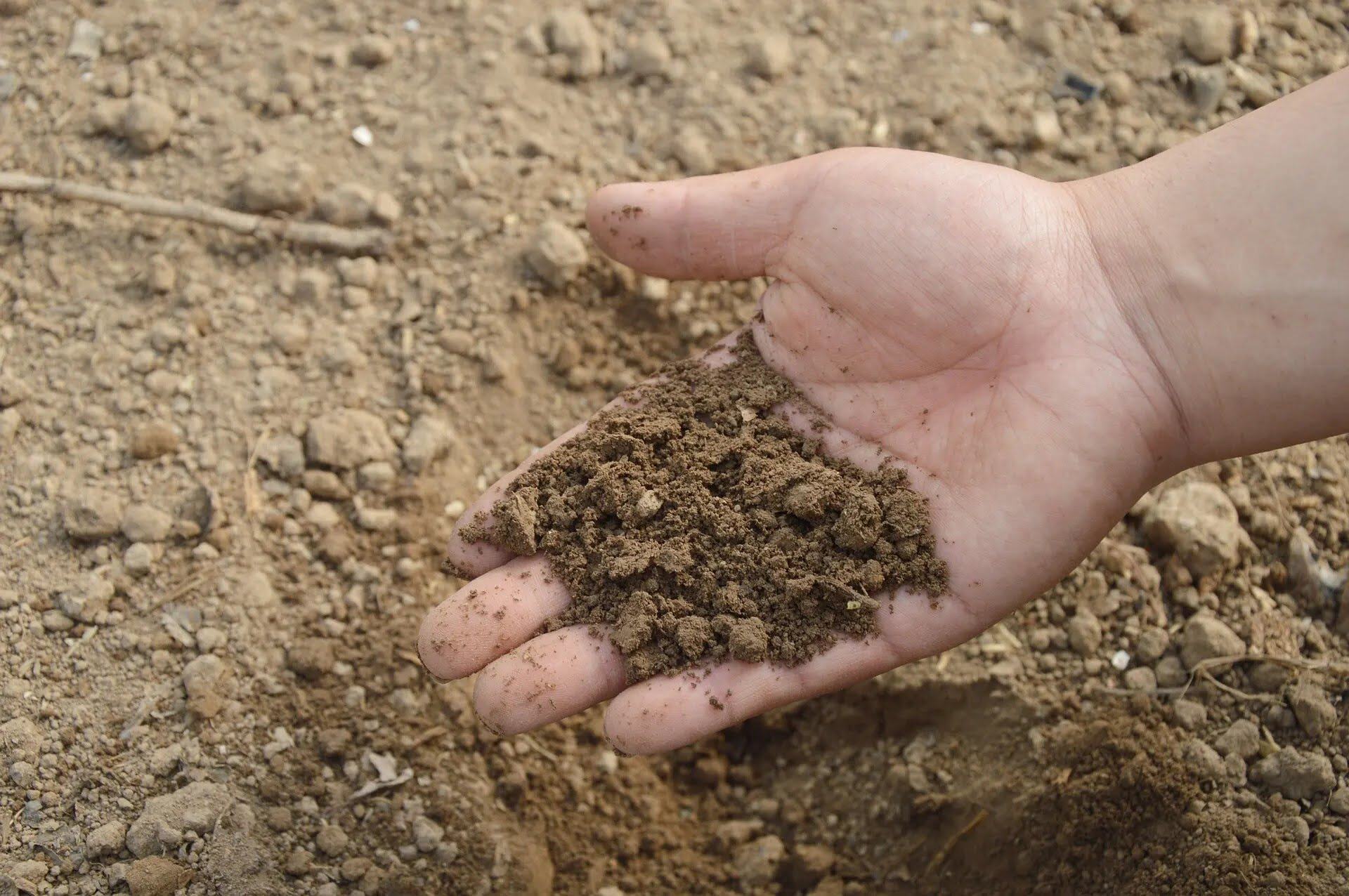 How Do You Create A Dry Sandy Soil Mix