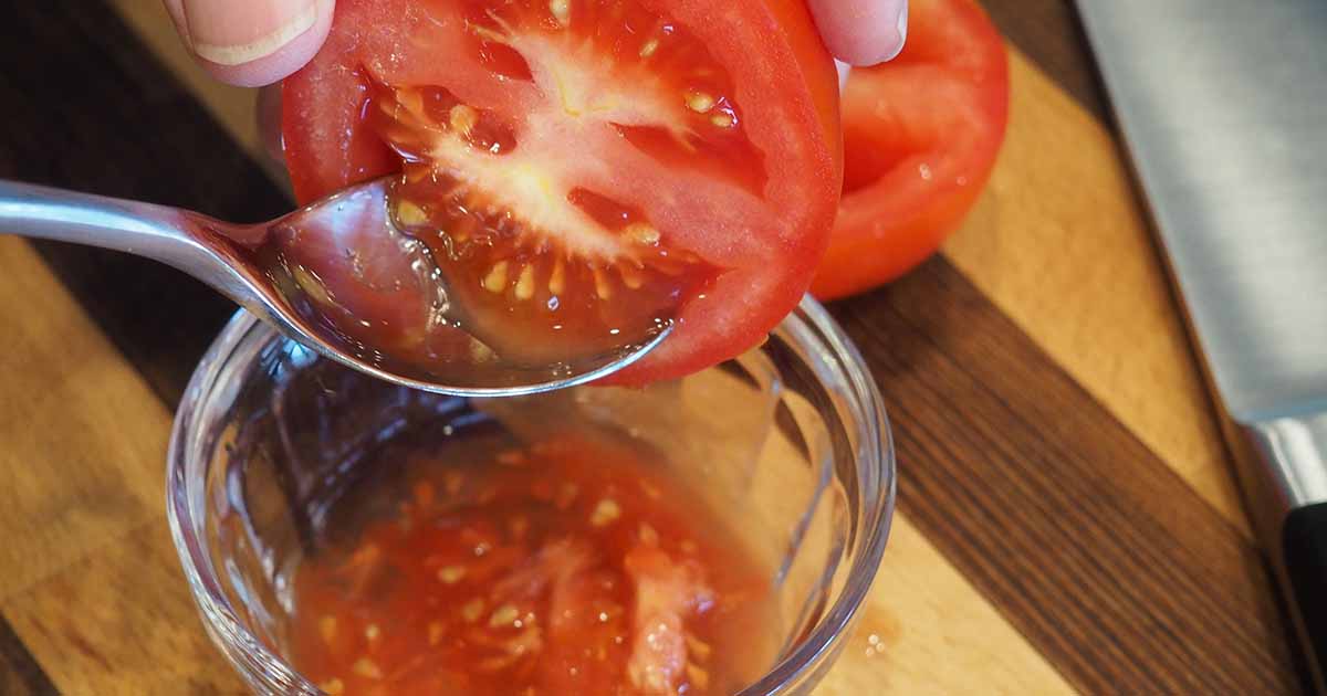 How Do You Save Tomato Seeds