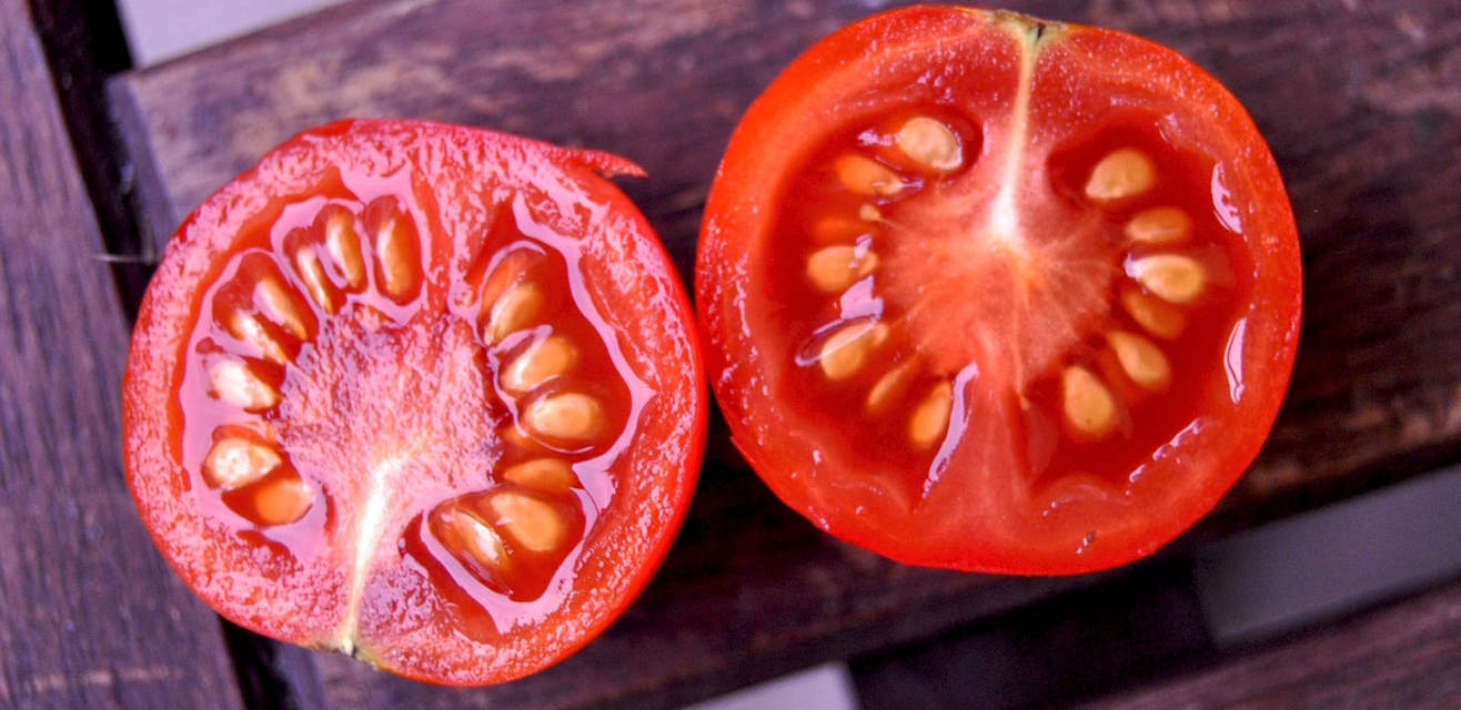 How Long Are Tomato Seeds Good For