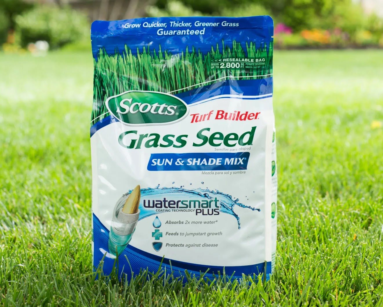 How Long Does A Bag Of Grass Seed Last