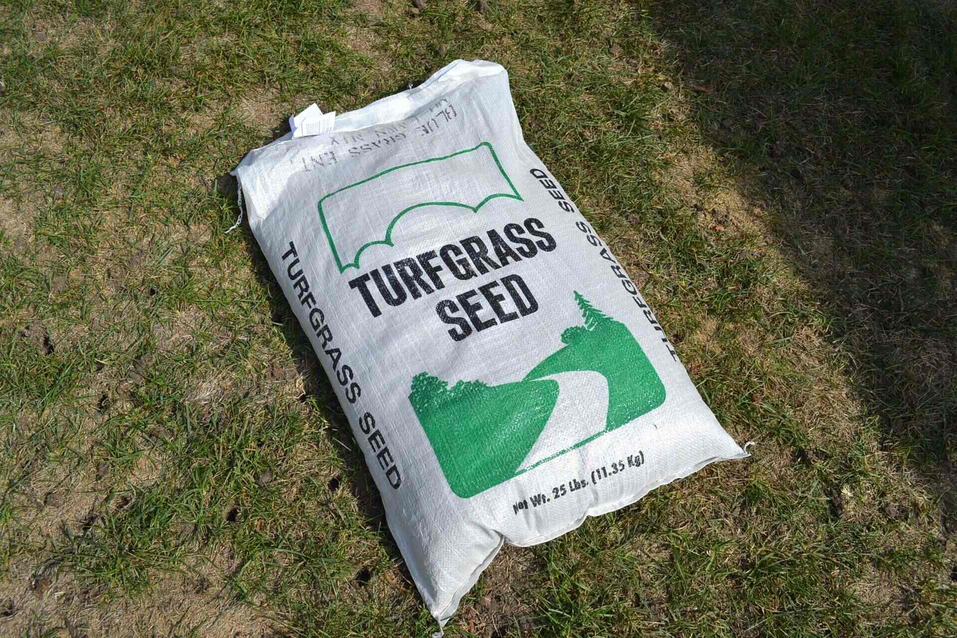 How Long Does Grass Seed Last In Bag