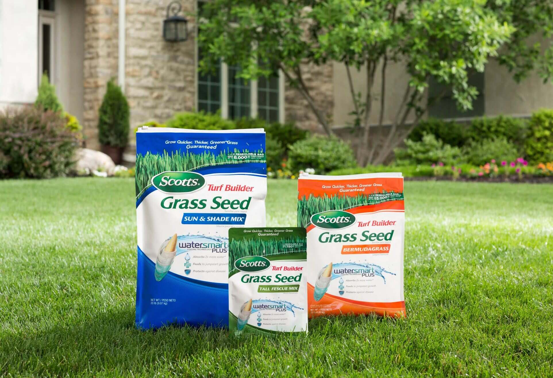 how-long-does-it-take-scotts-grass-seed-to-grow-storables