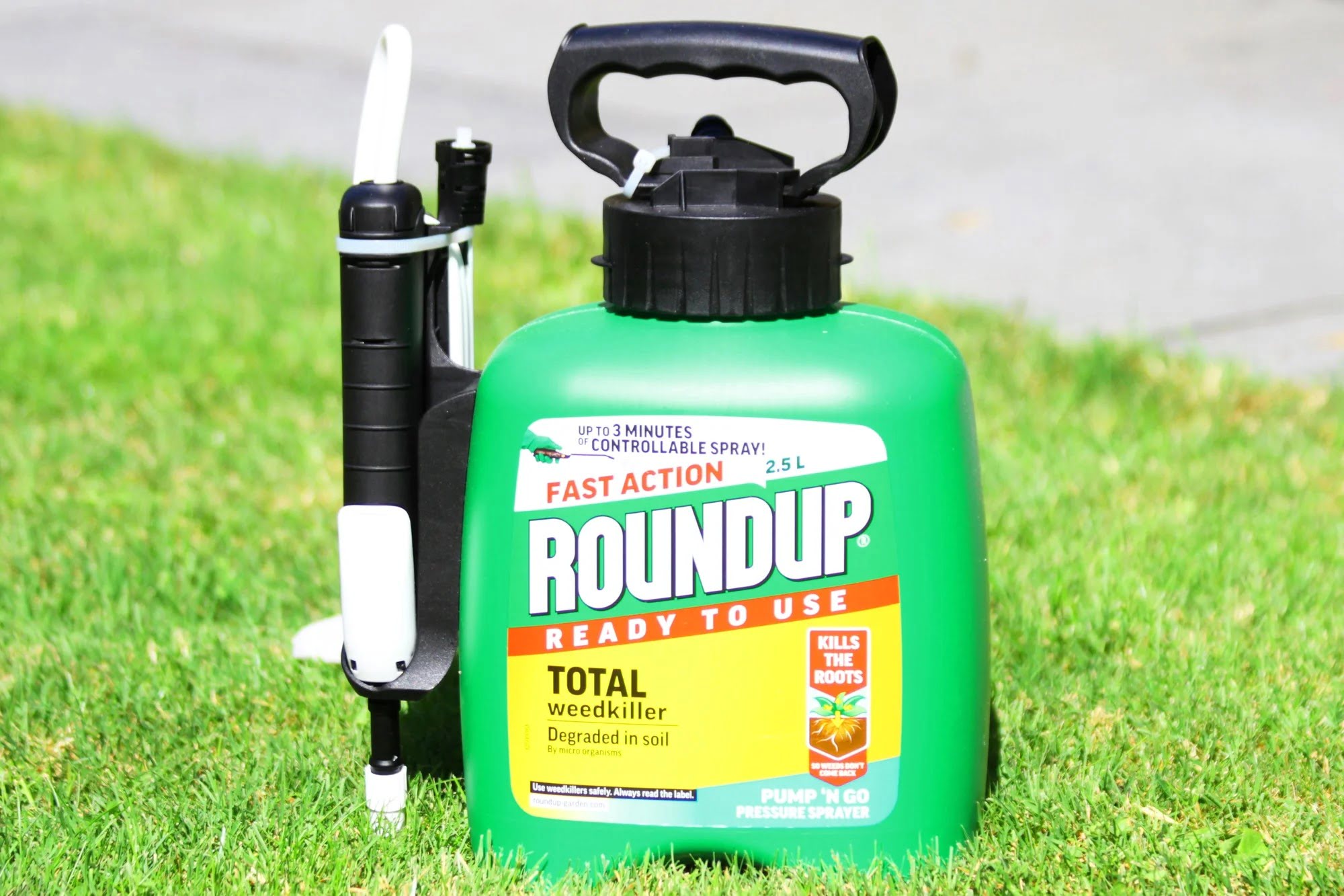 How Long For Roundup For Lawns To Work
