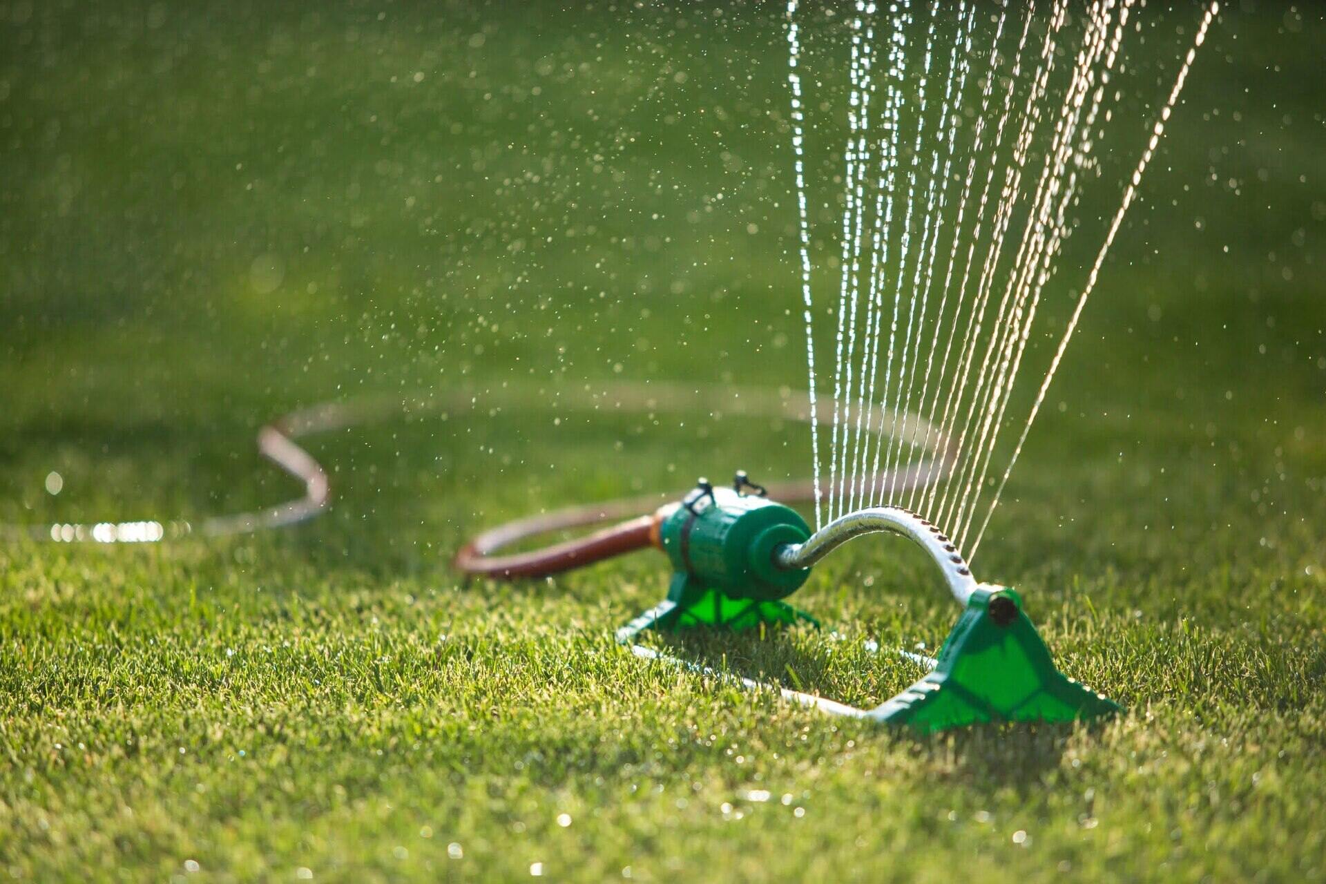 How Long Should New Grass Seed Be Watered
