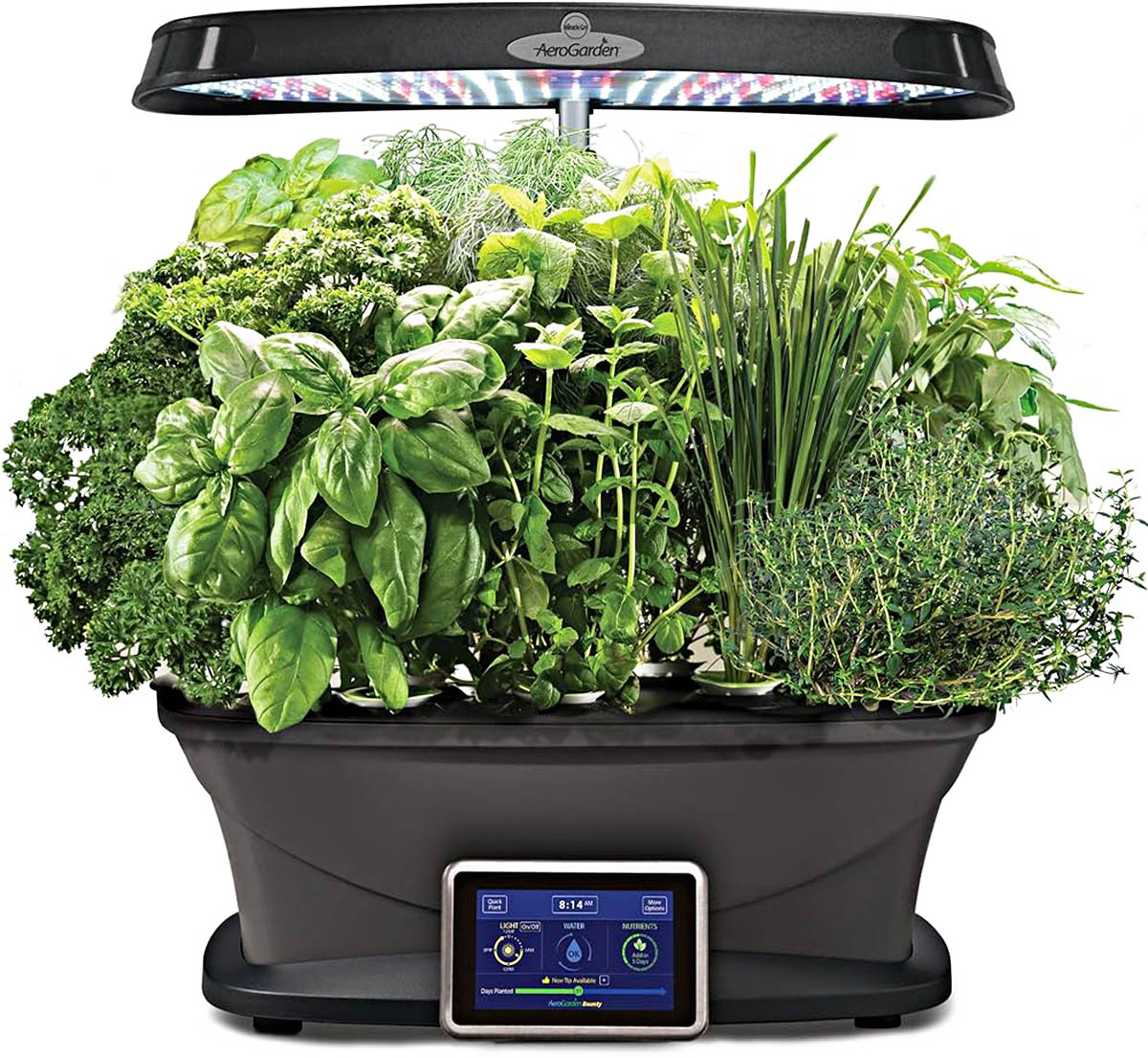 How Long To Germinate Aerogarden