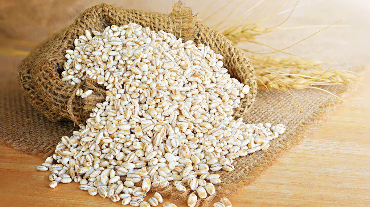 How Long To Germinate Barley Grain