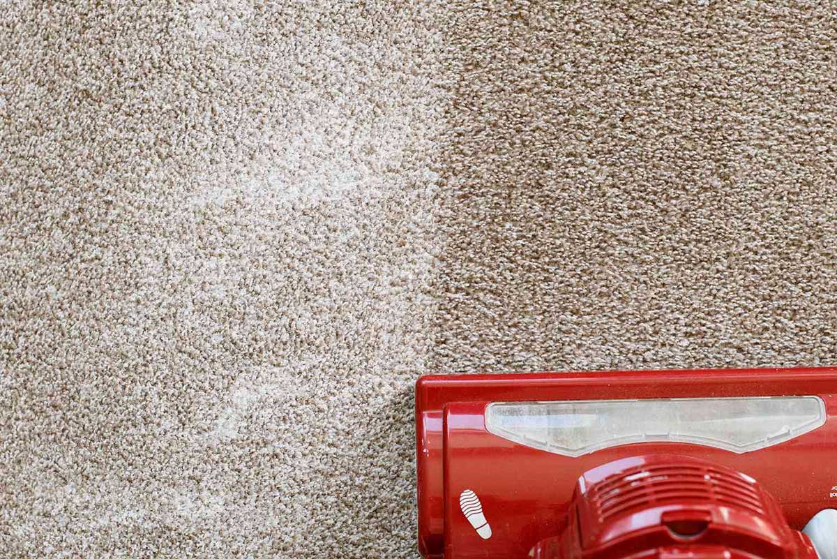 How Long To Leave Salt On Carpet To Kill Fleas